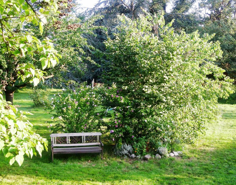 Aux Berges De La Thur Staffelfelden Экстерьер фото